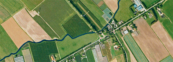 Kromme leek in West-Friese landschap